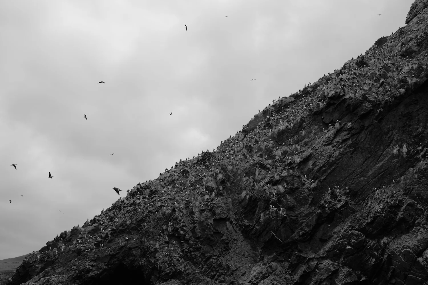DSCF2239.jpg