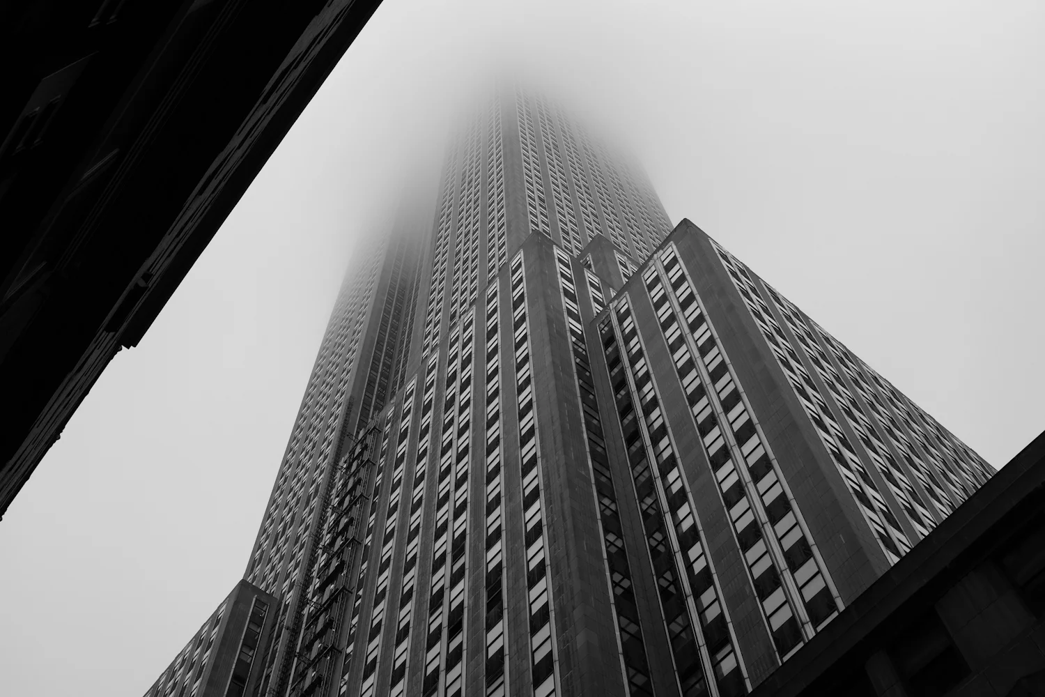 DSCF8769.jpg
