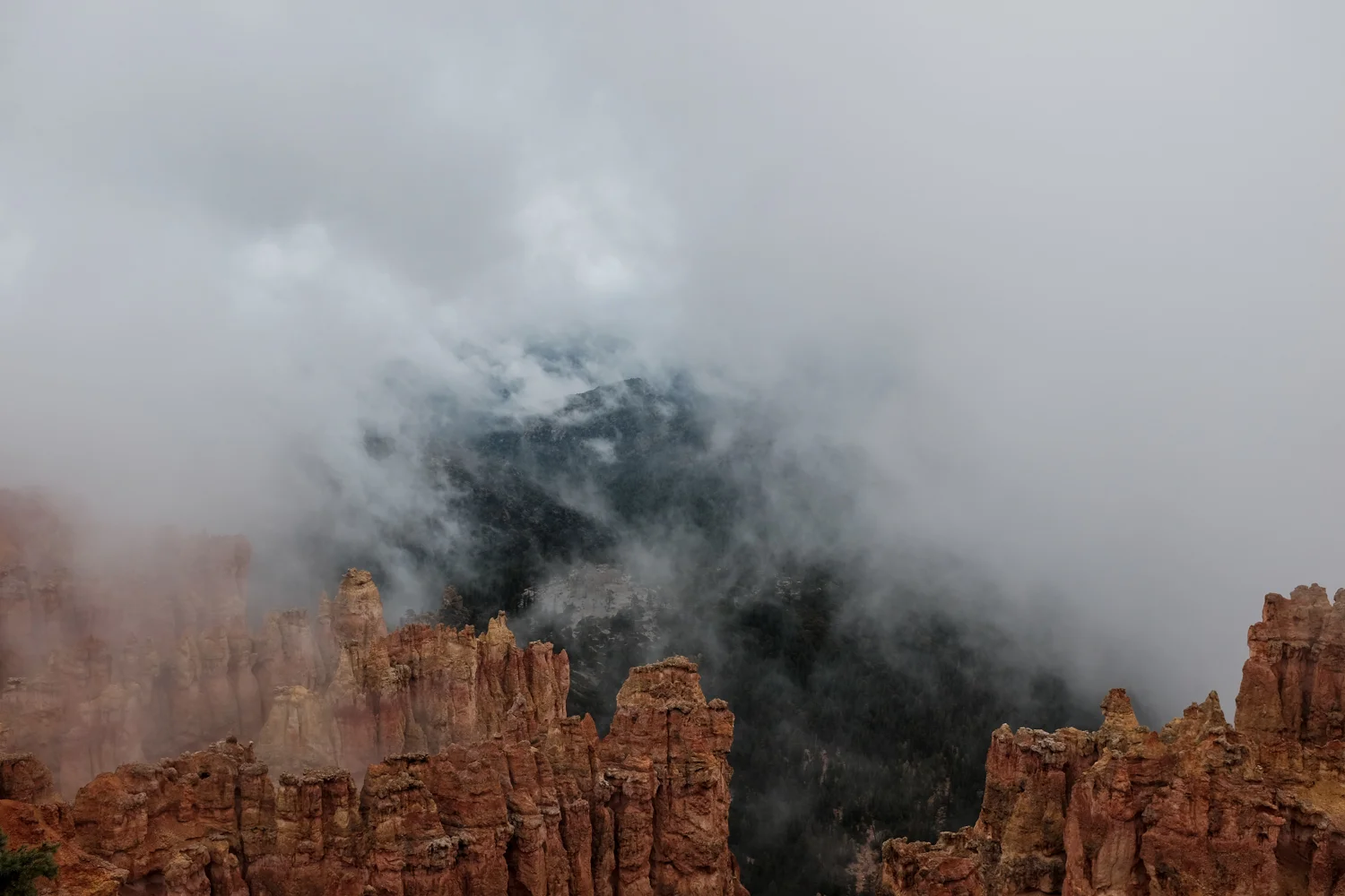 DSCF6183.jpg