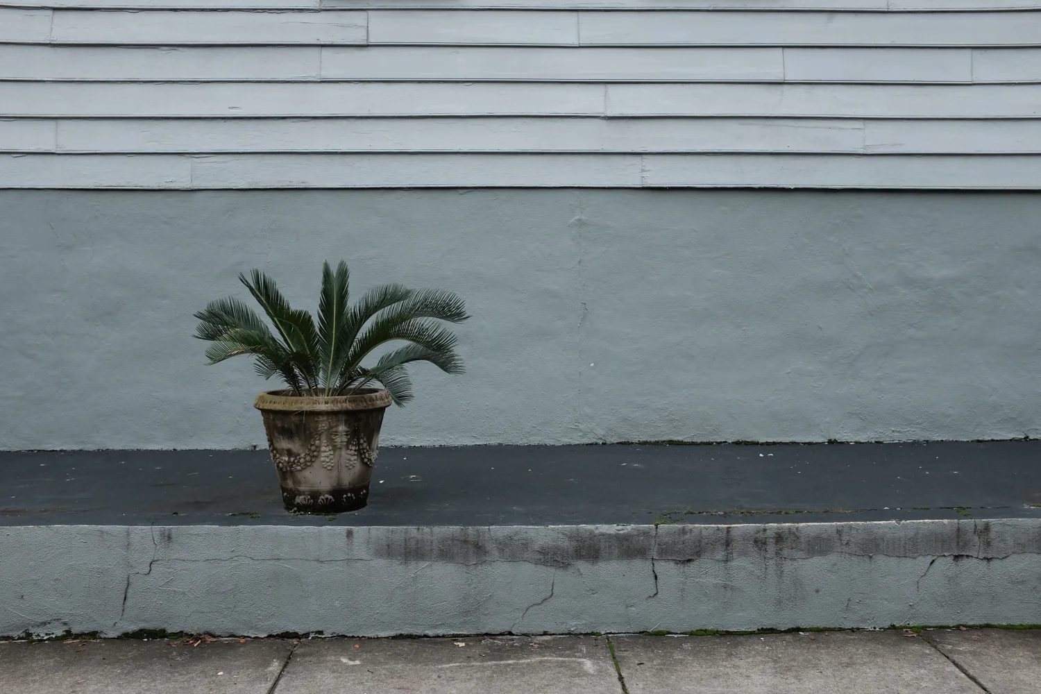 DSCF8393.jpg