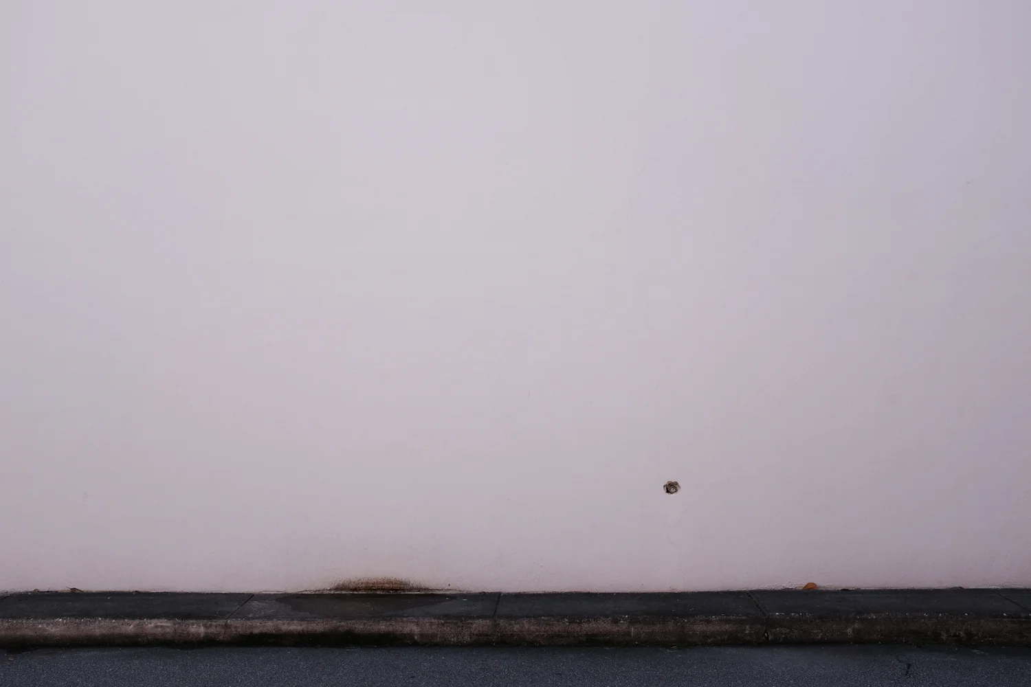 DSCF8537.jpg