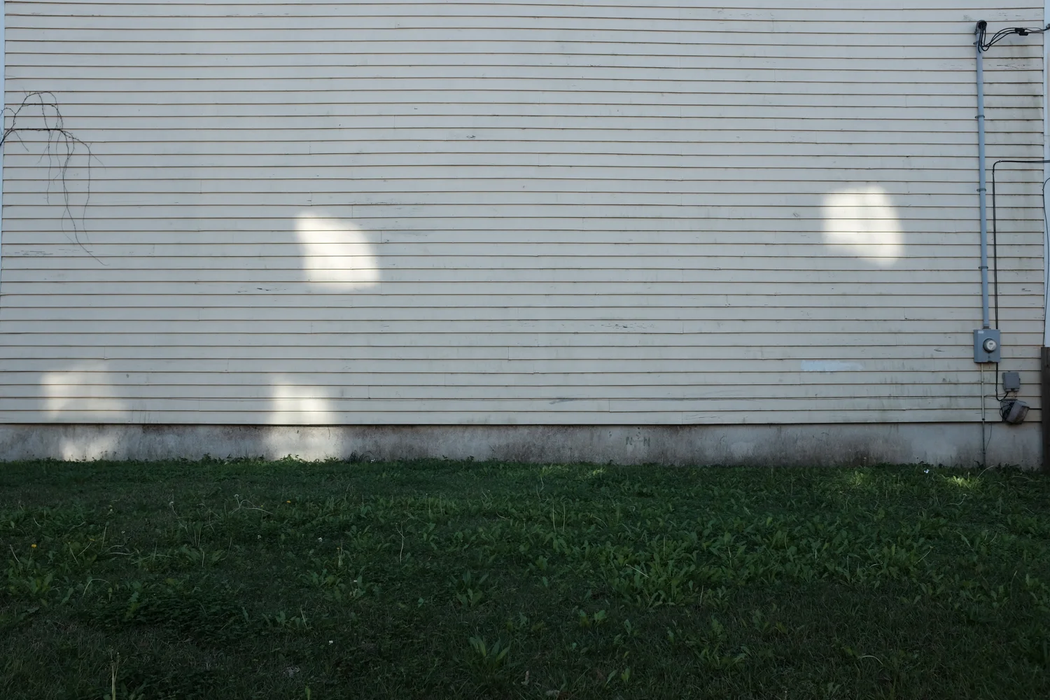 DSCF8556.jpg