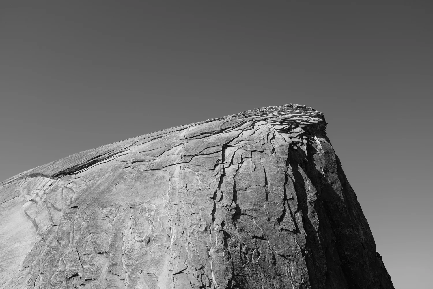 DSCF5471.jpg