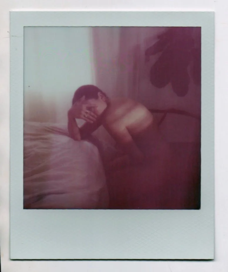 polaroid 315.jpeg