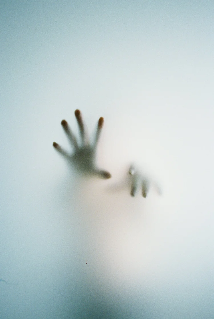 Picture by Shannon Tomasik