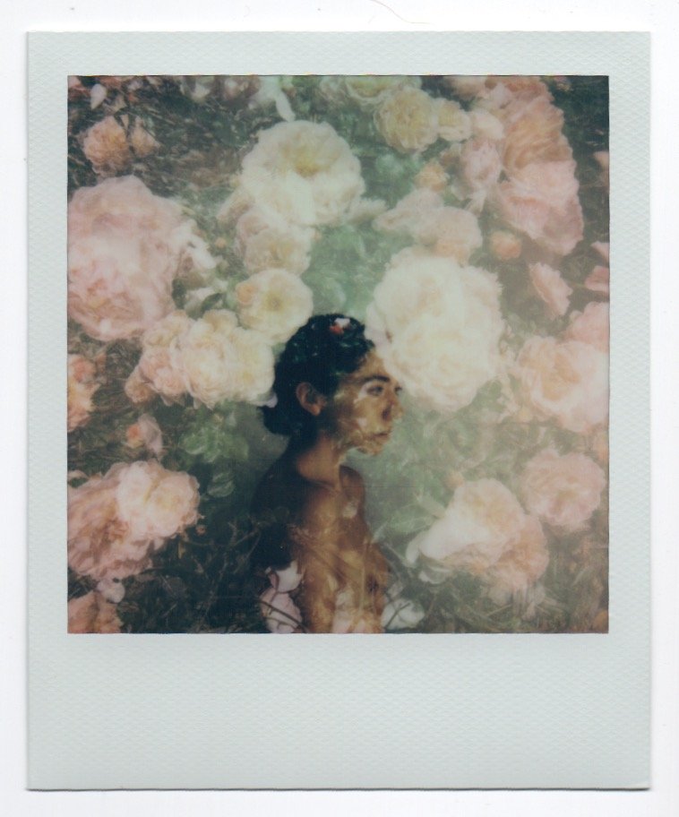 polaroid 30.jpeg