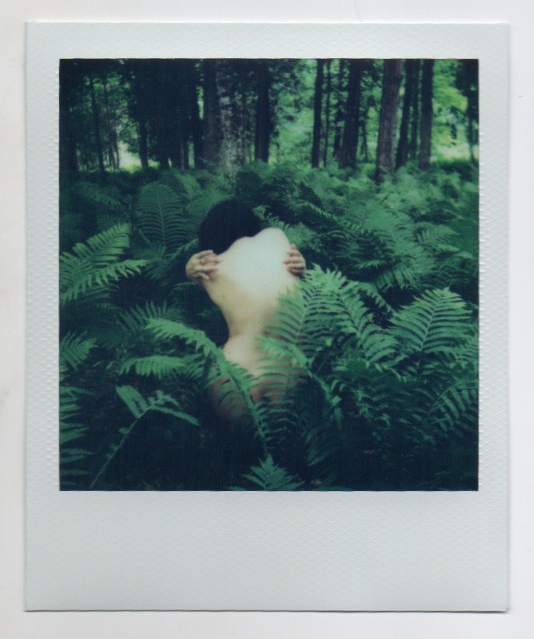 polaroid 79.jpeg