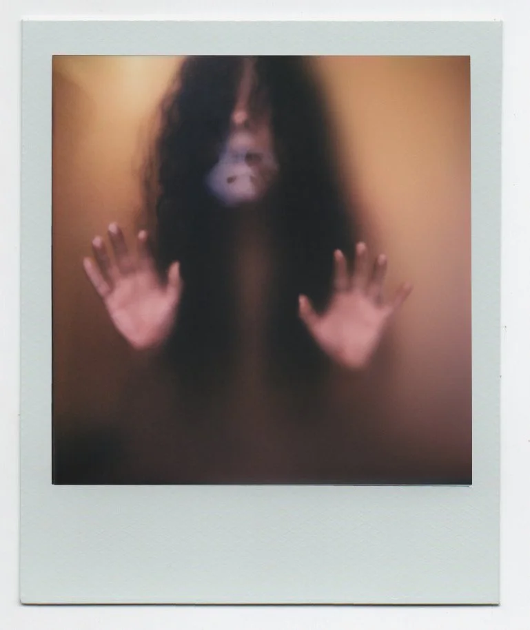 polaroid 246.jpg