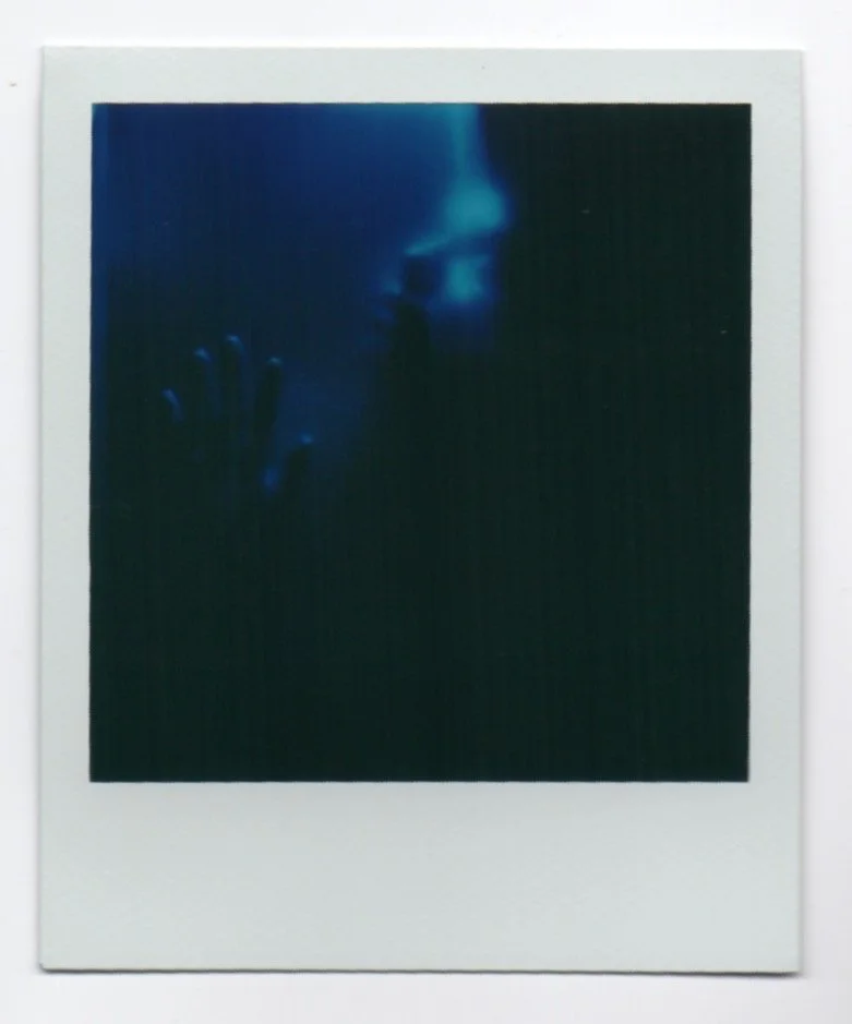 polaroid 335.jpeg