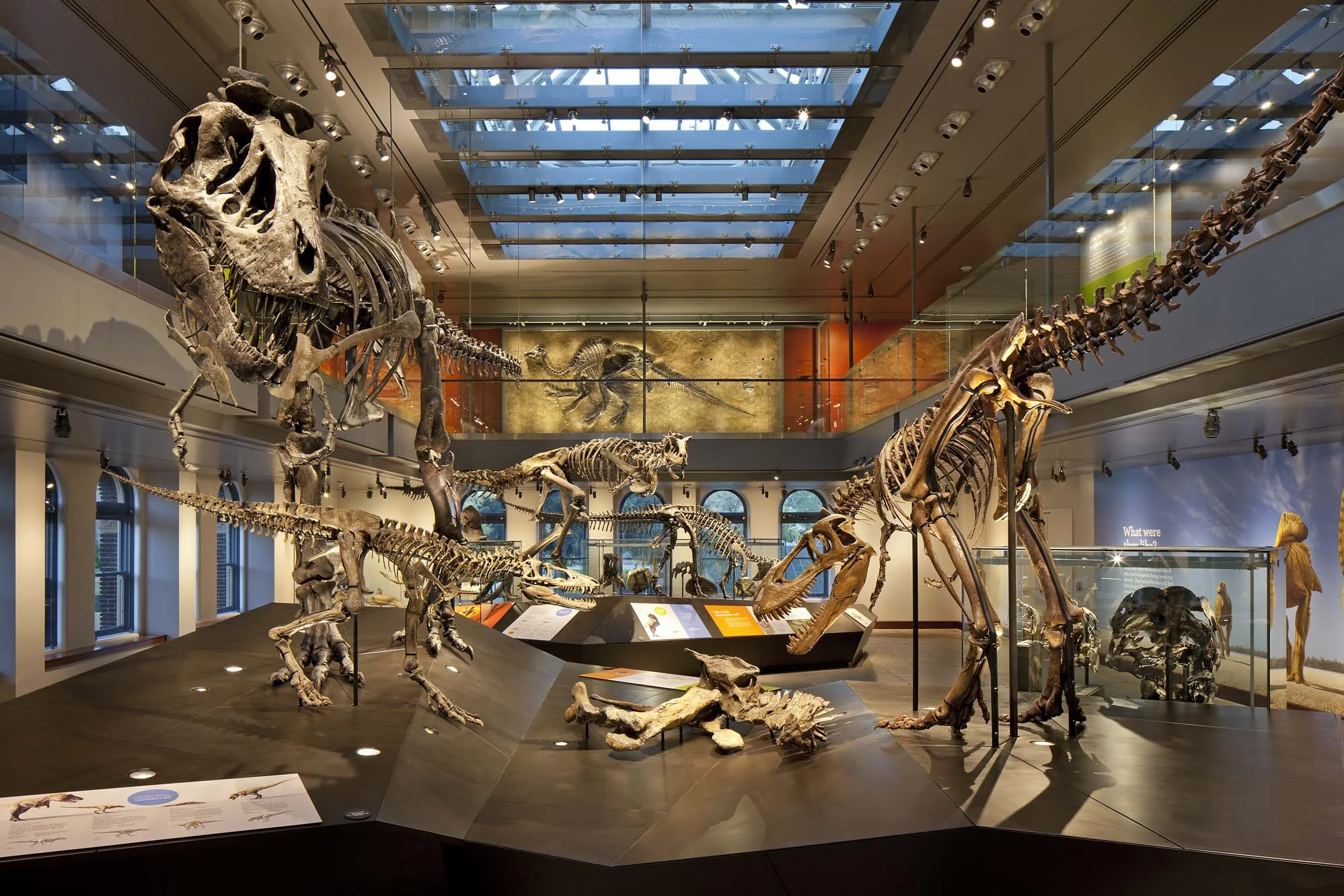 Dinosaur Hall at the Natural History Museum