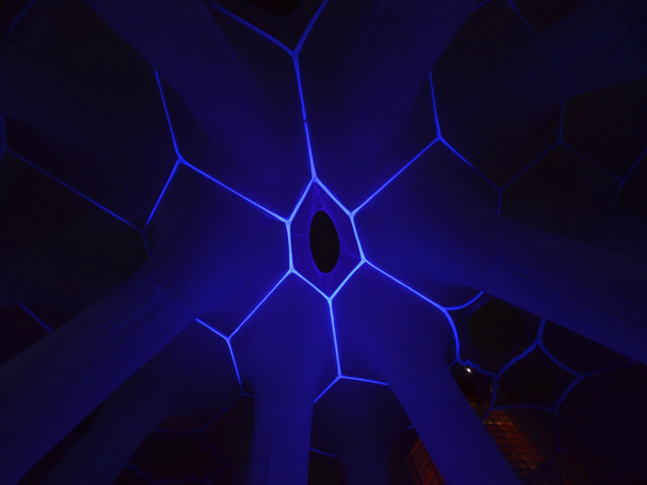 "Lumen" by Jenny Sabin