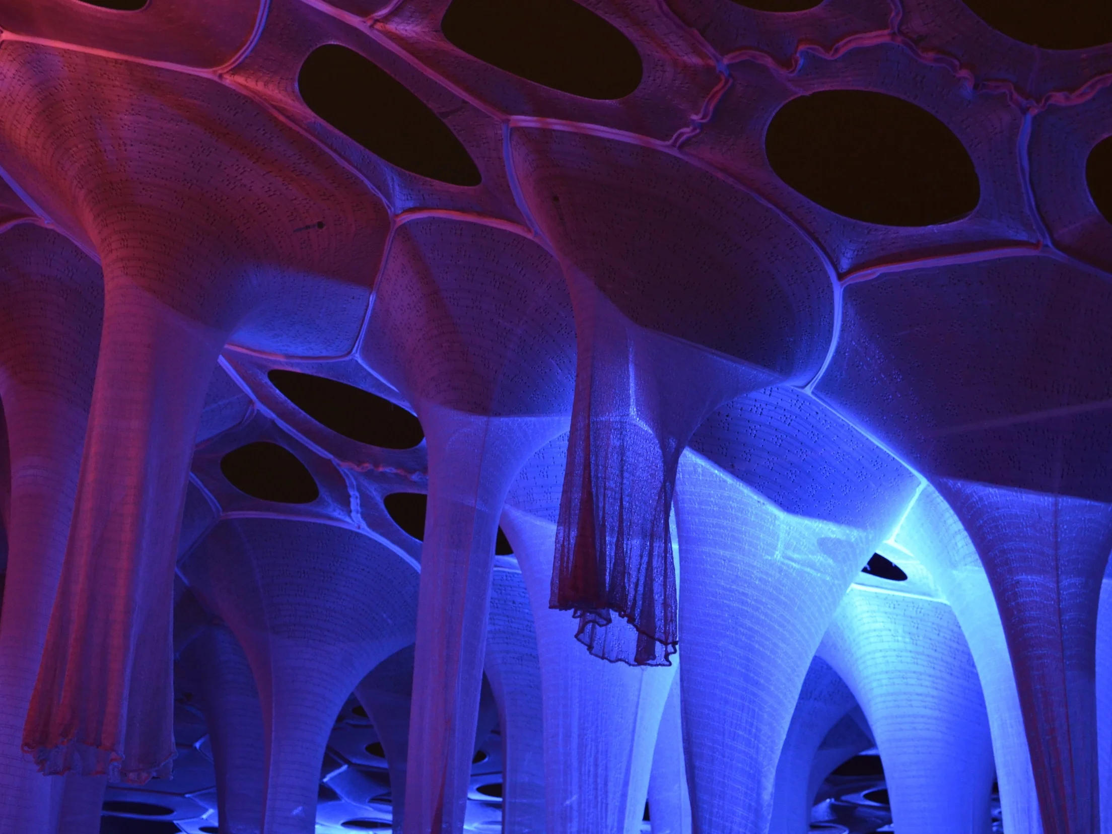 "Lumen" by Jenny Sabin