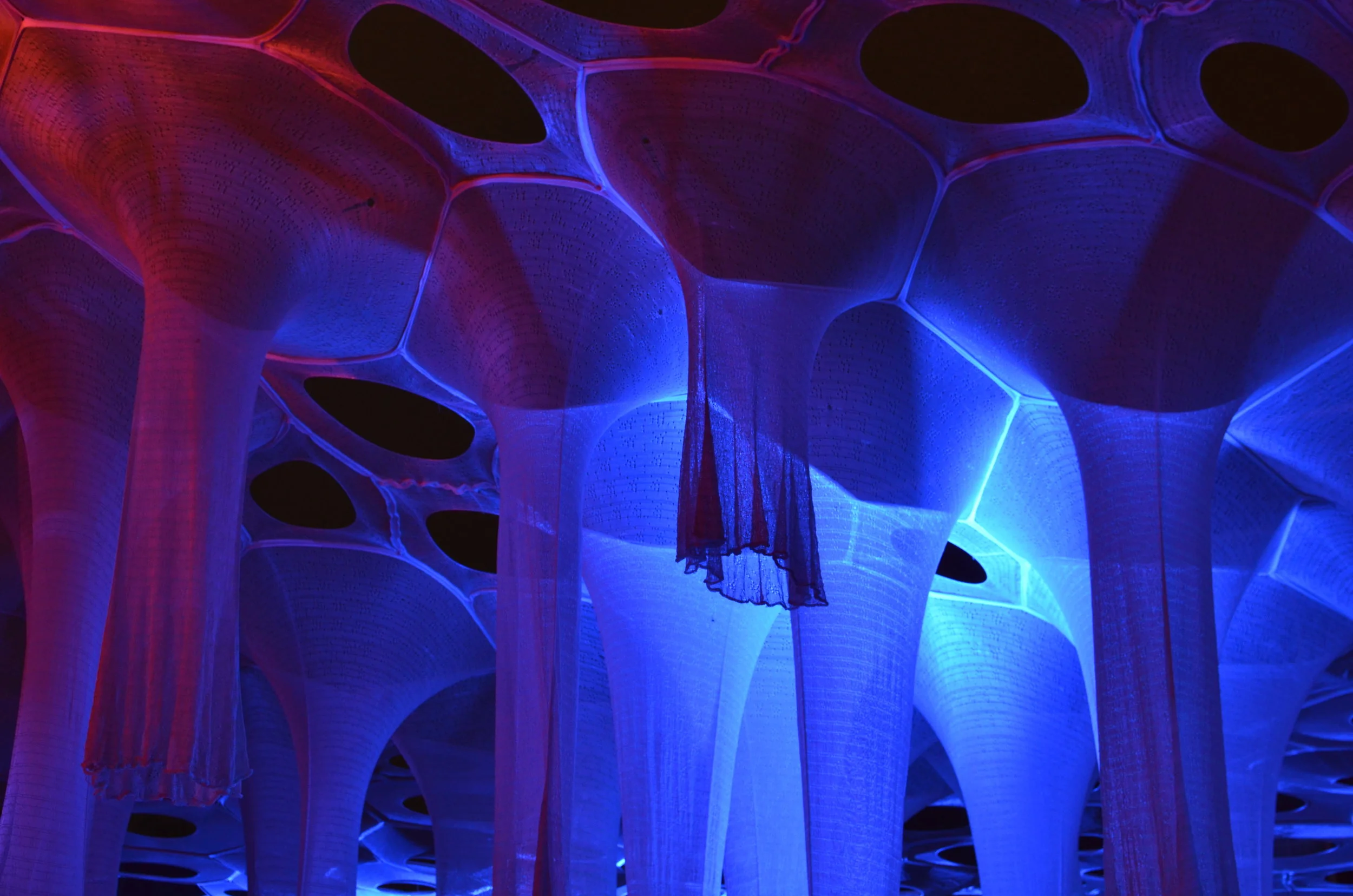 News — Focus Lighting Architectural Lighting Design