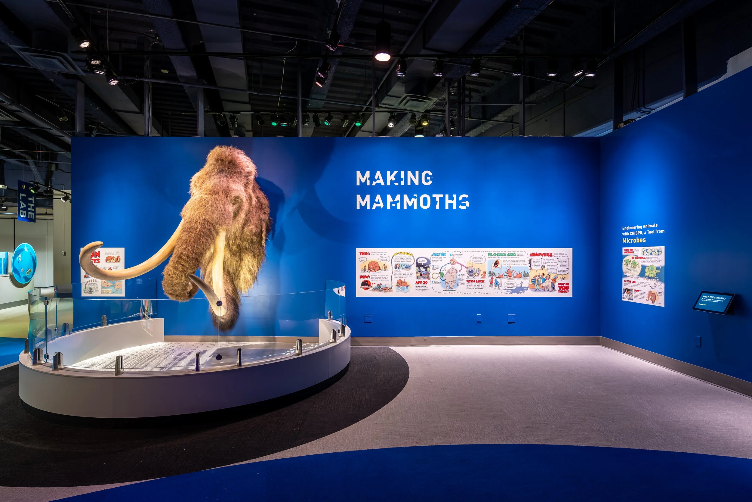 Making Mammoths Exhibit
