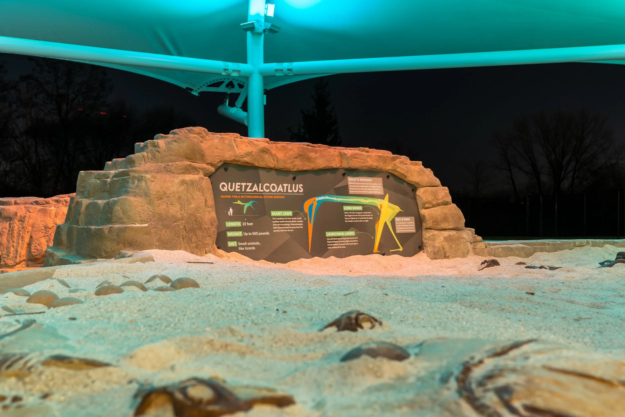 Dino Dig Adventures