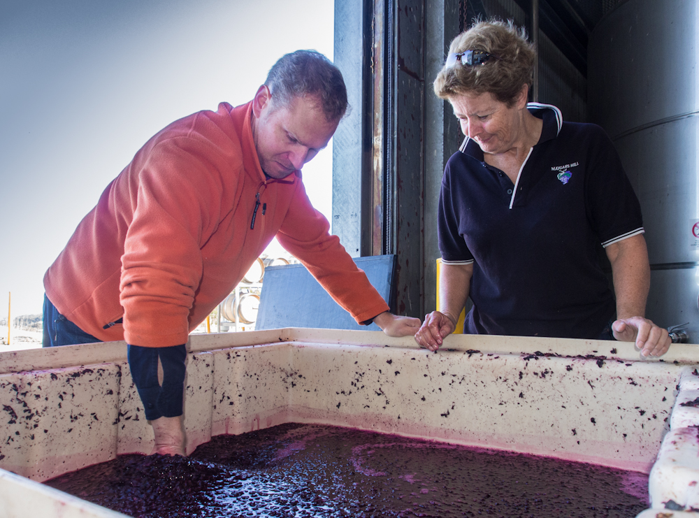 Jenny with Victor, extended maceration of cabernet crush.