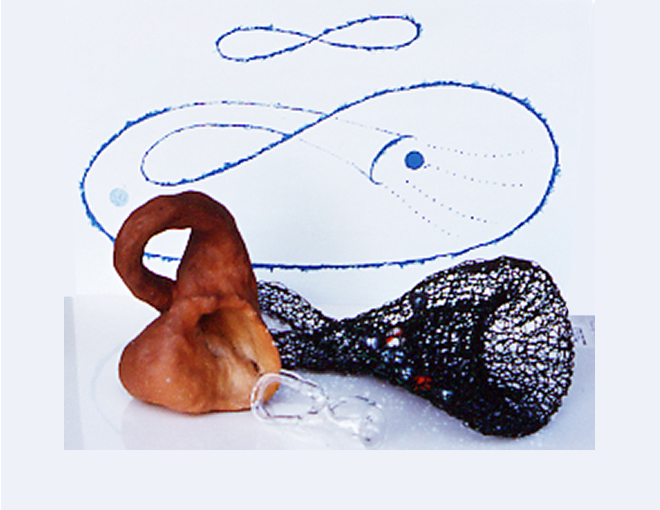 Klein Bottles