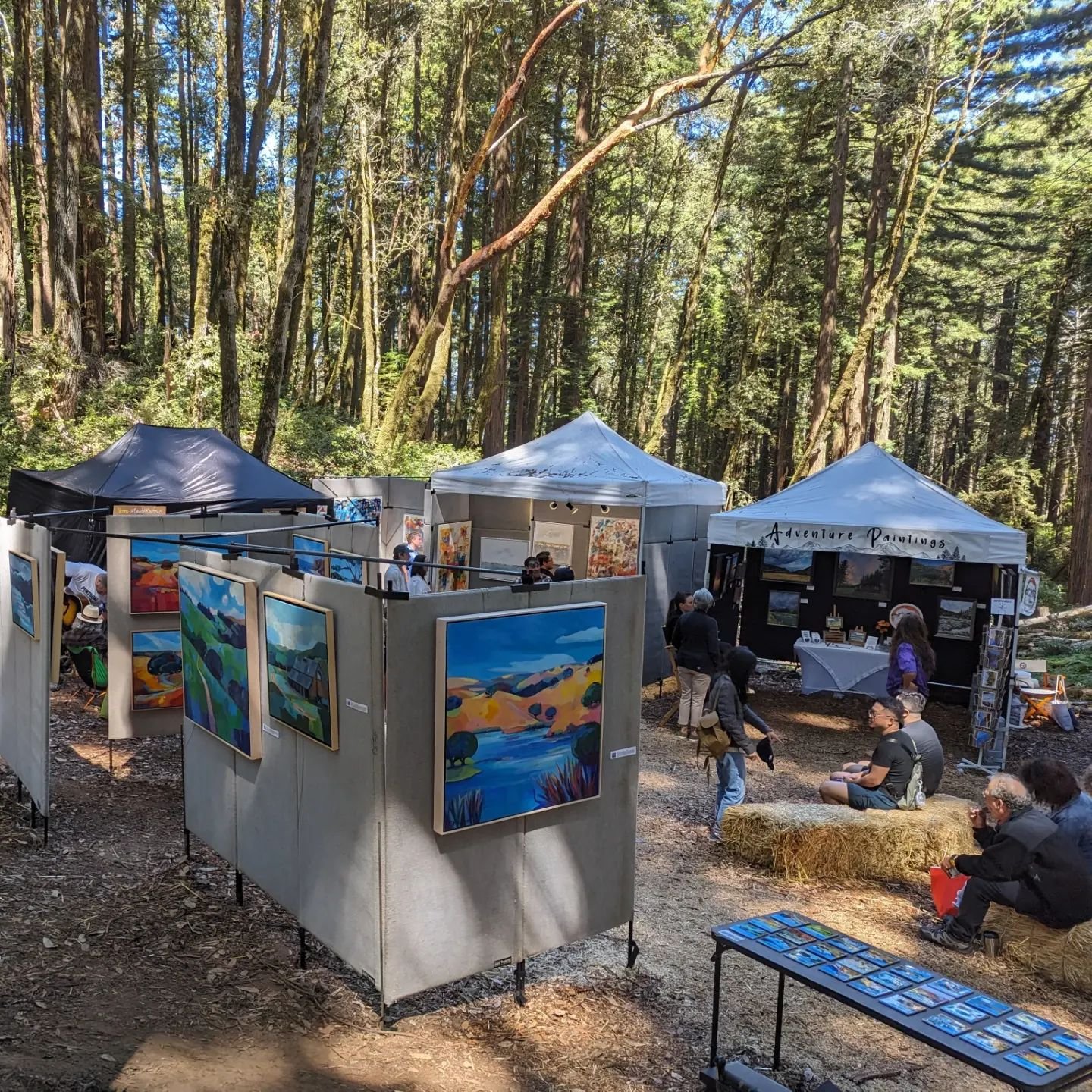Thanks Kings Mountain for a super show in such a great location...it's all left for the banana slugs, deer and its more shy inhabitants now until next year...

#kingsmountainartfair #stephaniemacleanartist #californialandscape #californiaredwoods