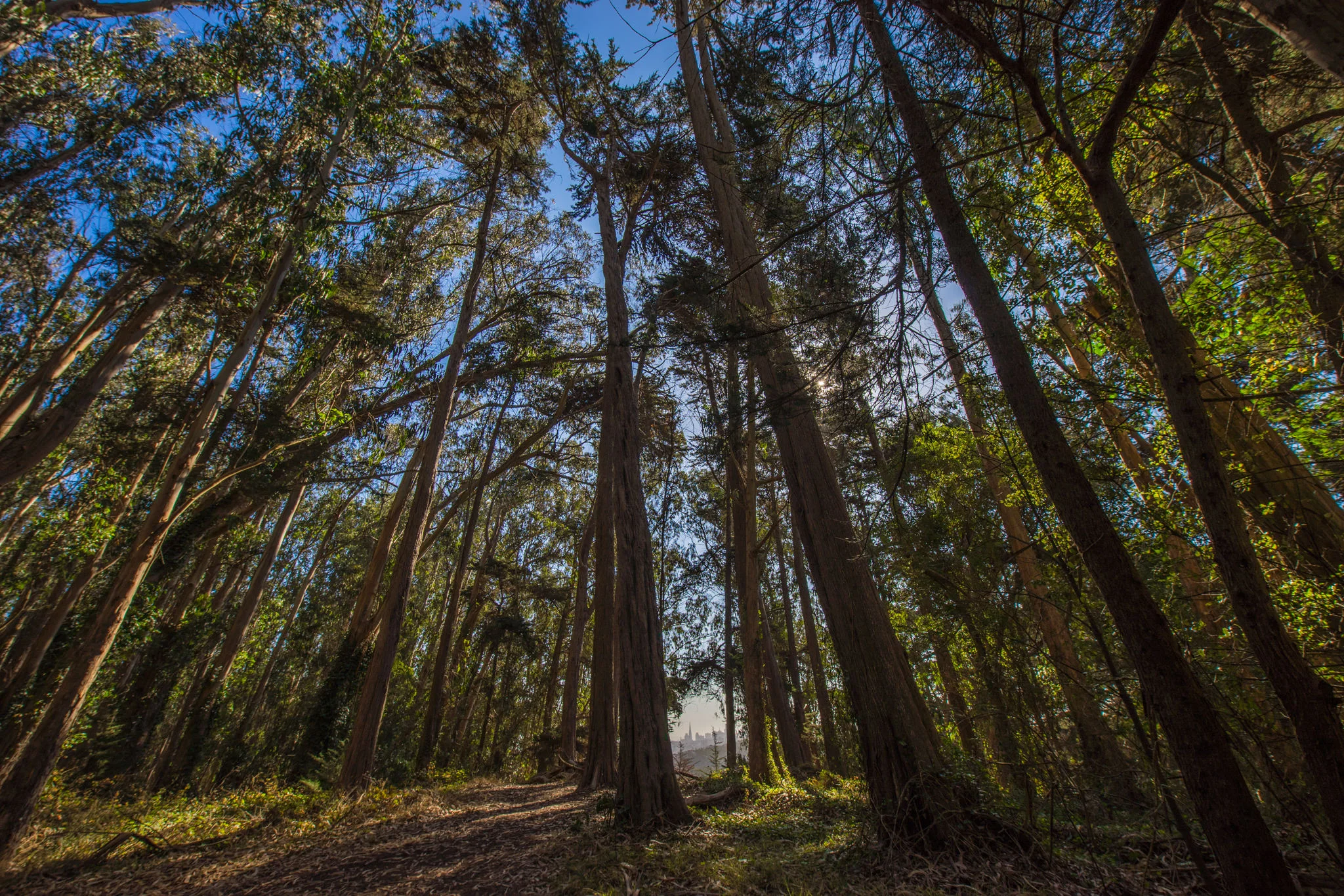 20150904-DSC00141.jpg