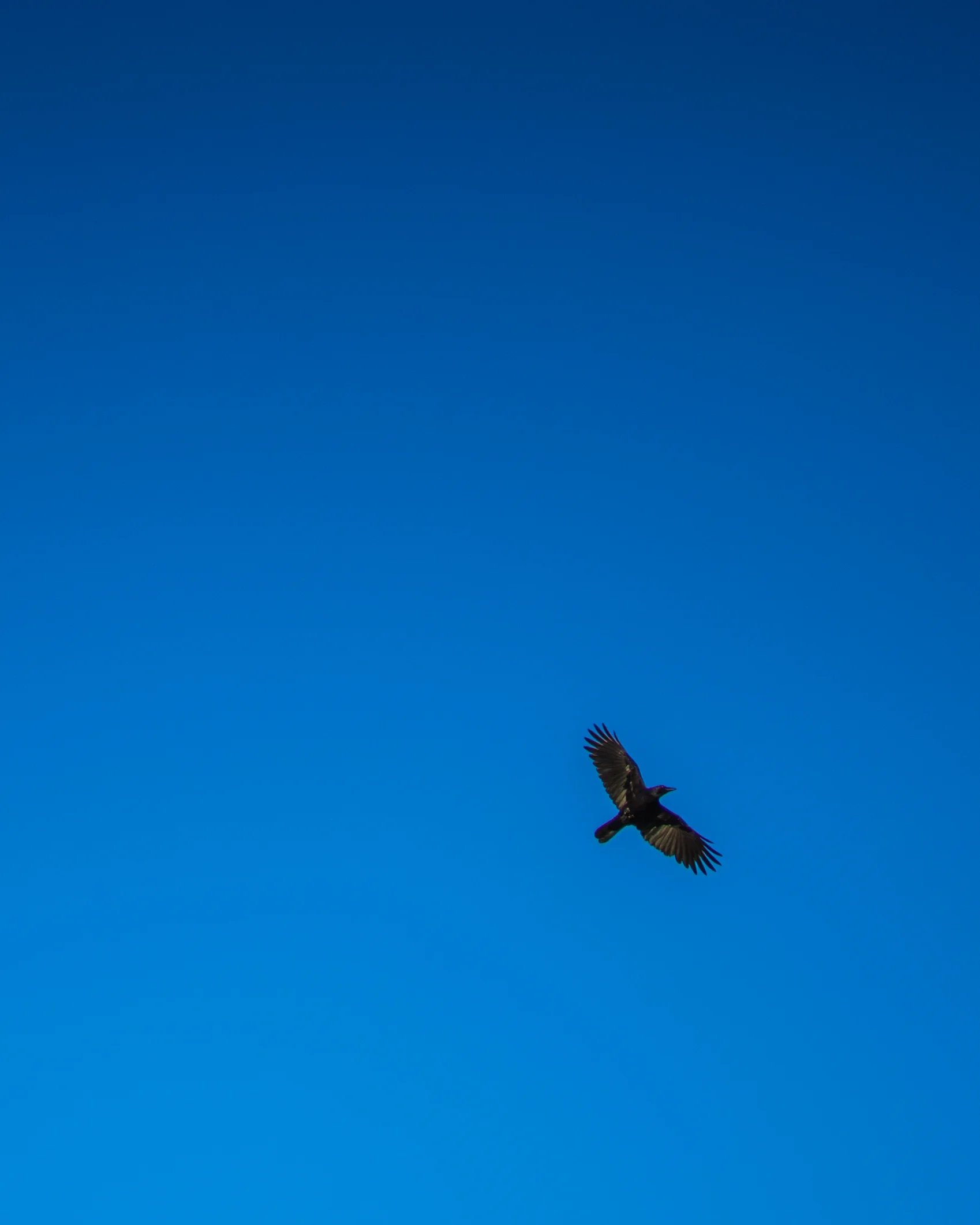 20151005-DSC01486.jpg