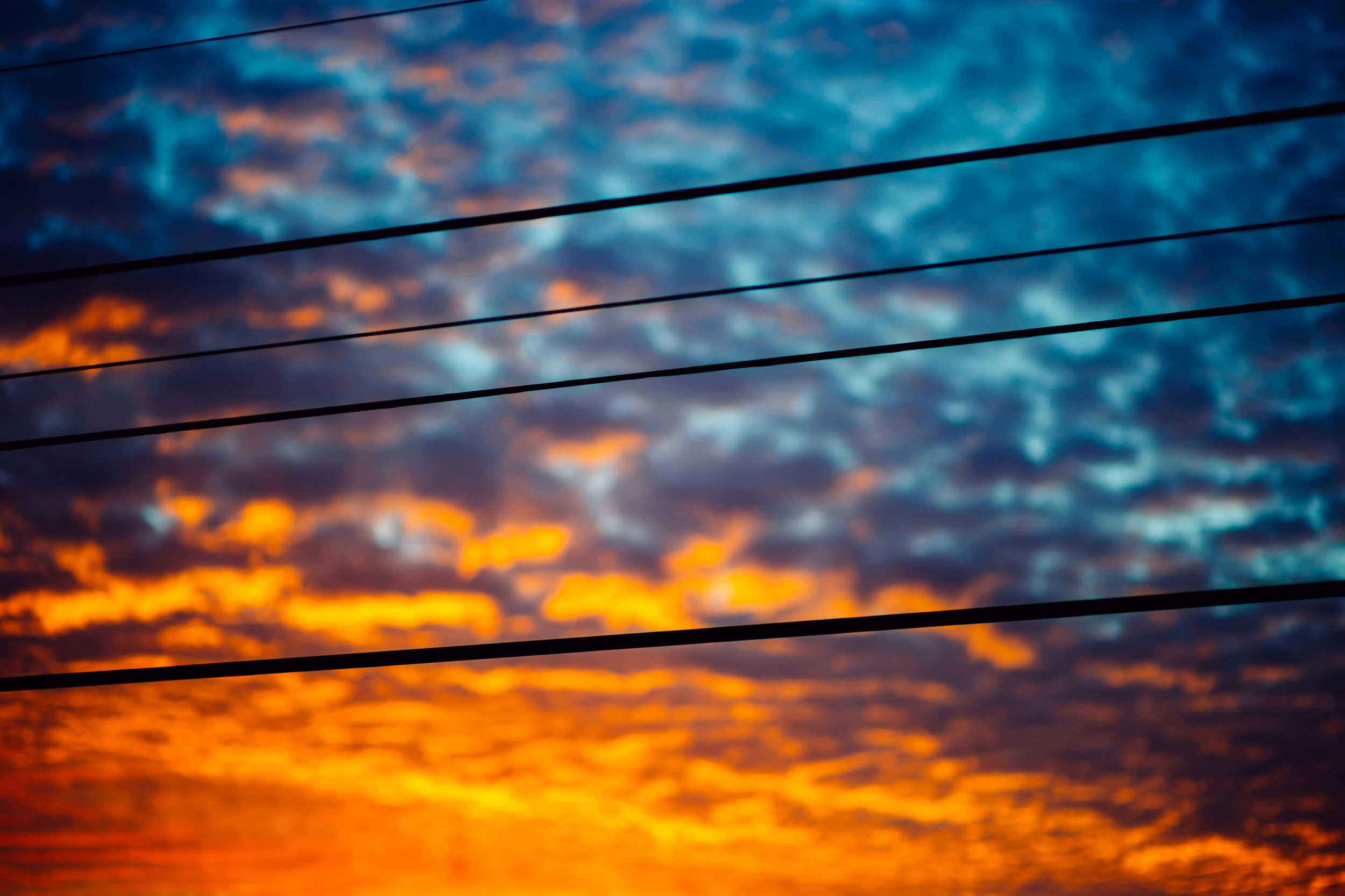 DSC02015.jpg