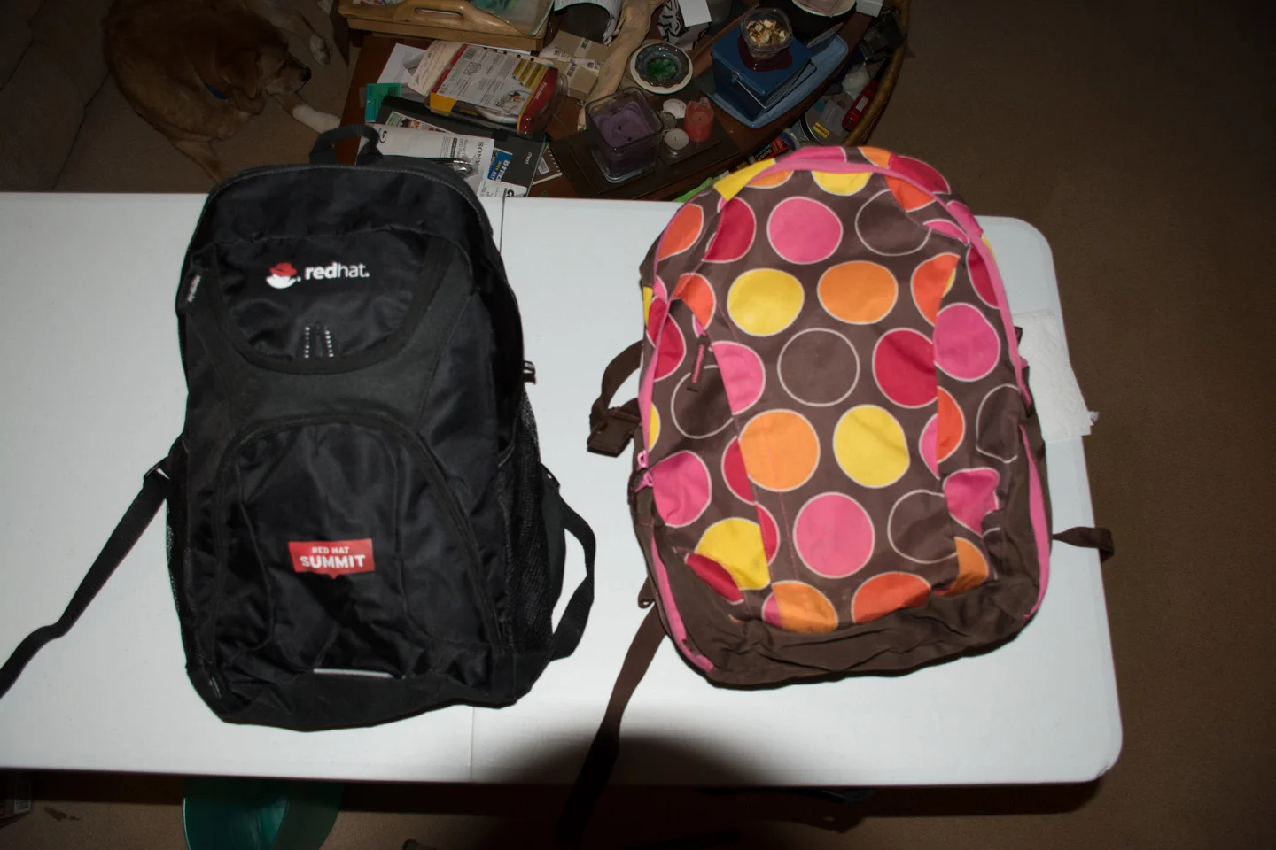 Backpacks ready to go.