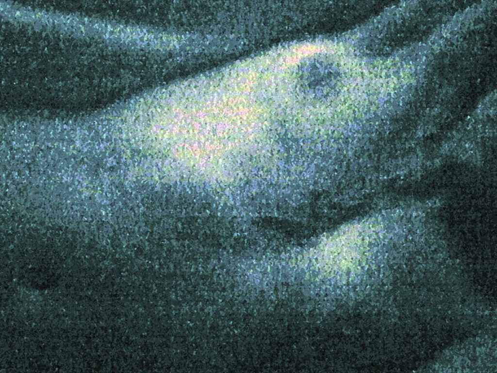 LAVAL-Anatomy of Desire-05.jpg