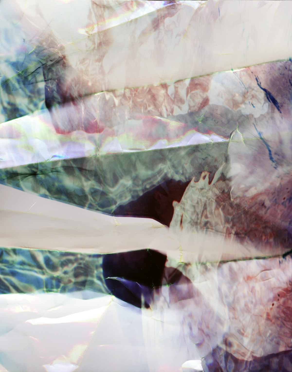 photogram011-cropped.jpg