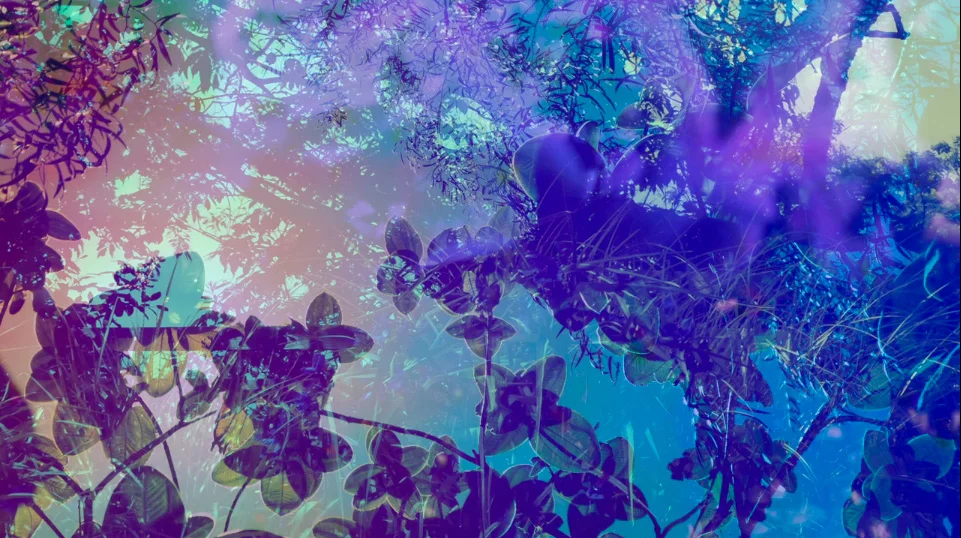 Video still from Heterotopia