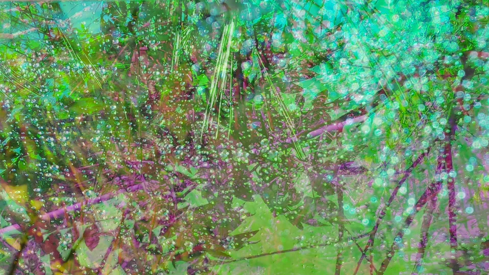 Video still from Heterotopia