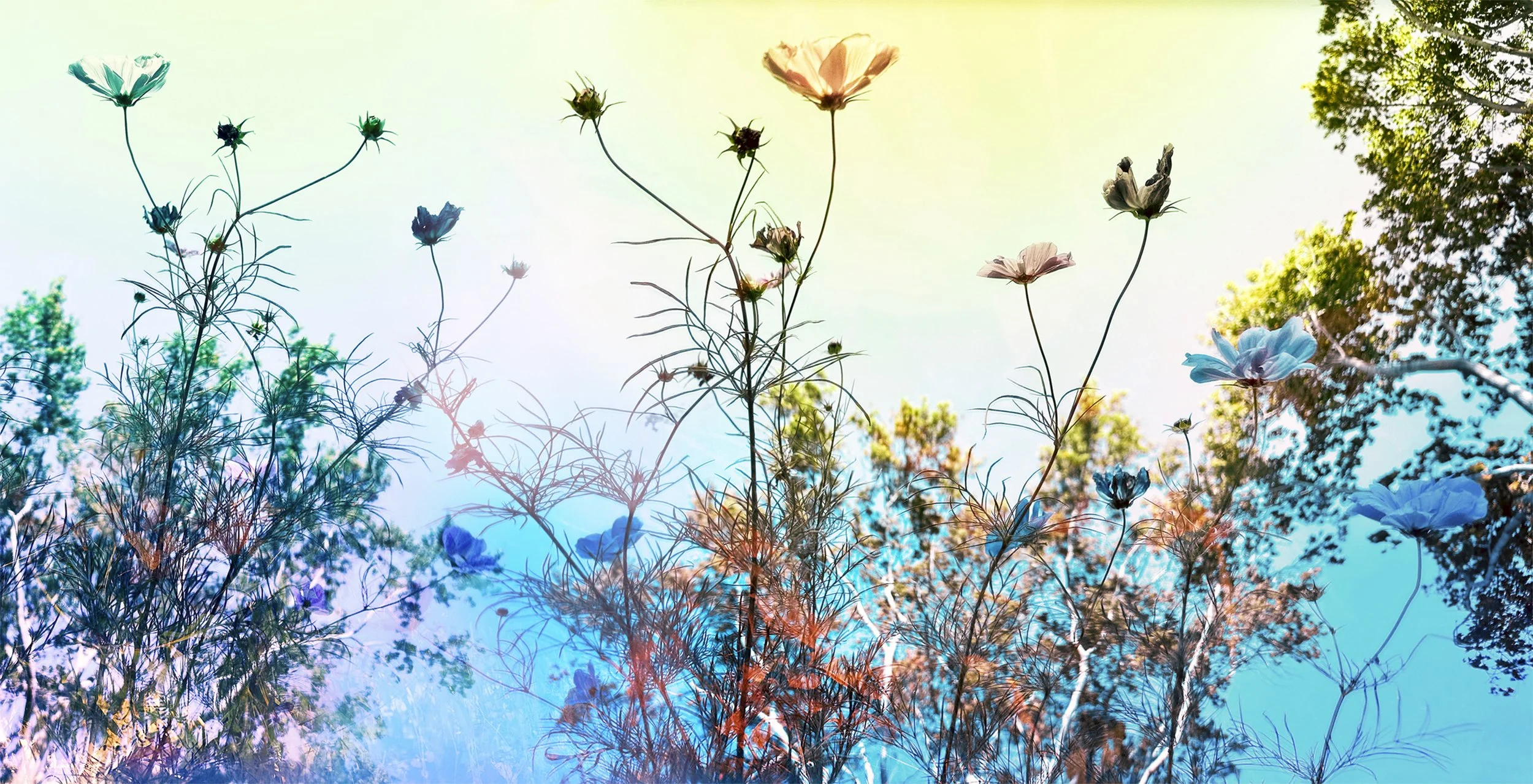 KARINE LAVAL’S WORK FEATURED IN DIOR’S NEW YORK FLAGSHIP