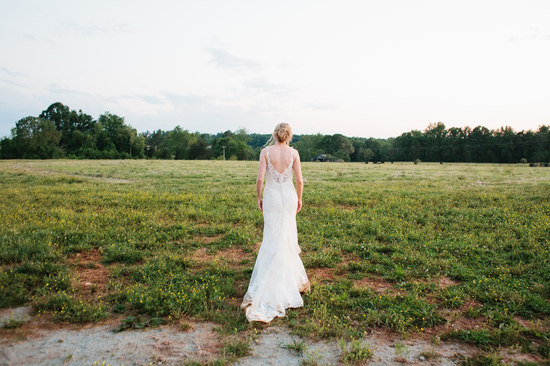 Bride Walking in a Field at Sunset