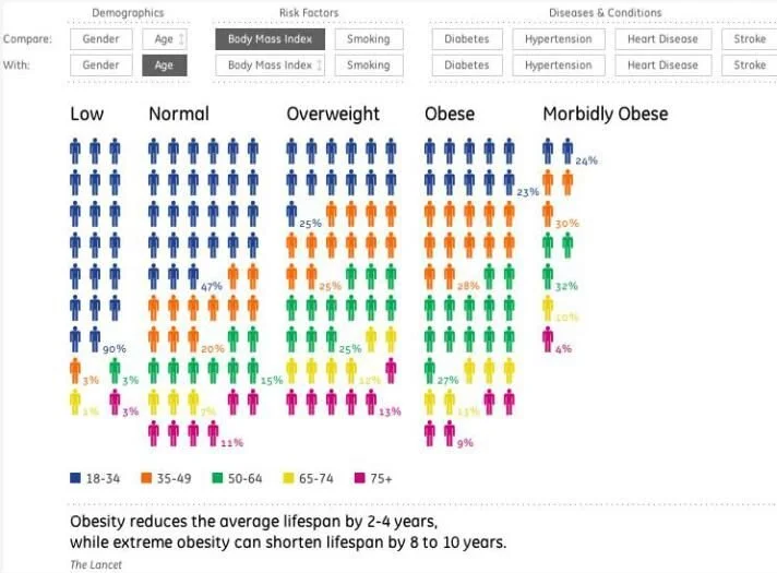 20 Best Examples of Charts and Graphs — Juice Analytics