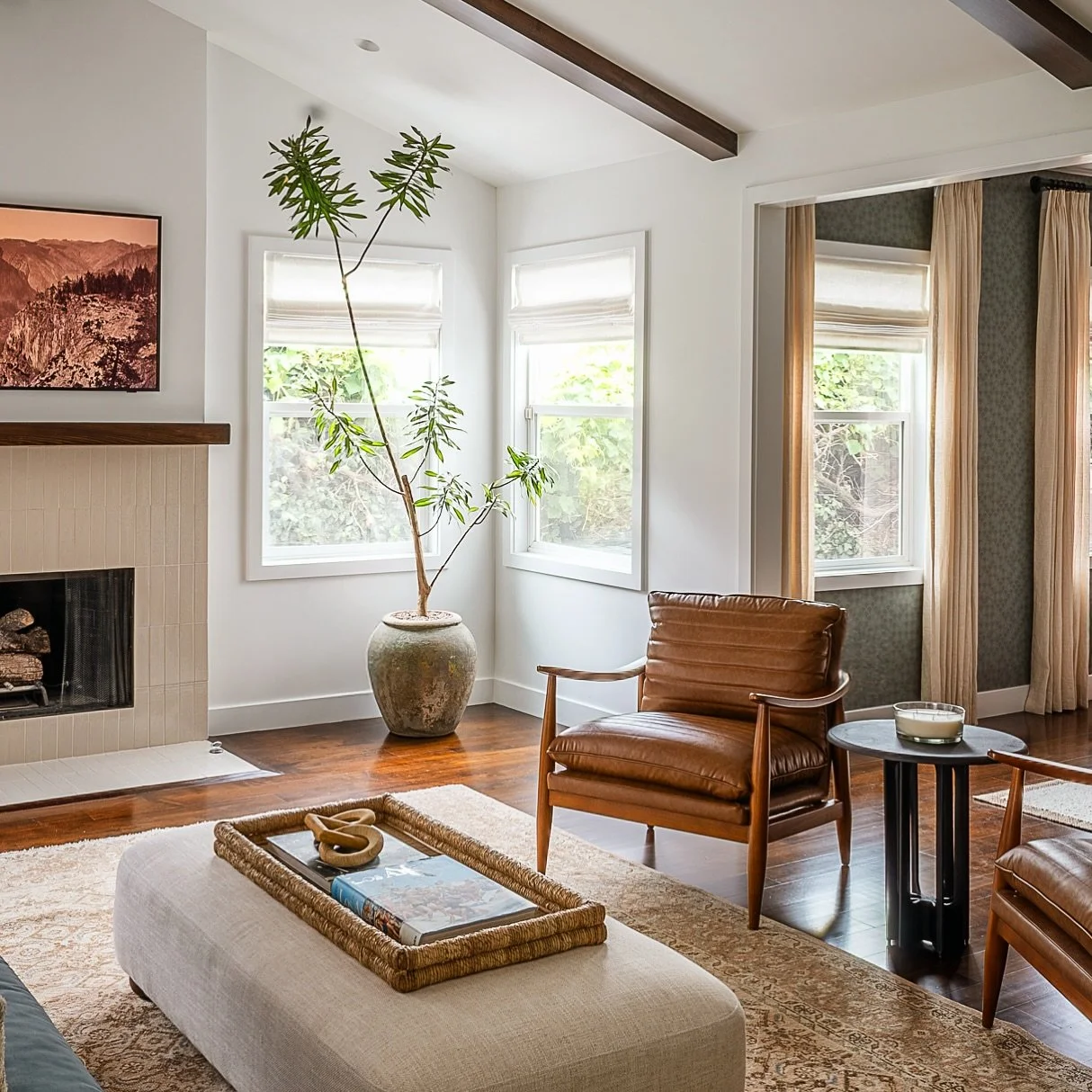 We&rsquo;ll find you a weird tree for that sunny spot 🤌

📷 @r.j.guillermo