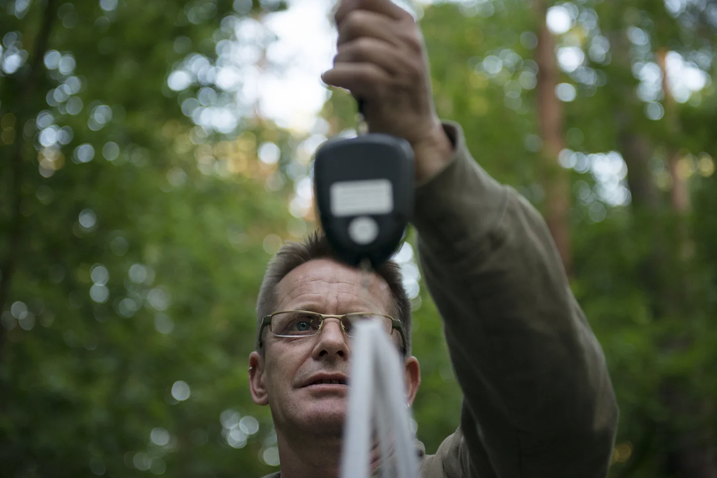 The chicks are weighed, which combined with their measurements can conclusively determine the sex of each nestling