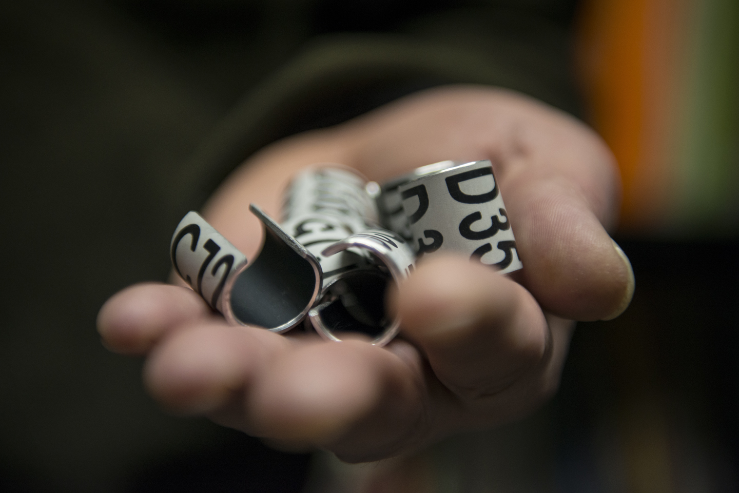  Colour-rings are attached to the nestlings, which can be read from a distance. Data from recoveries and subsequent sightings is invaluable to scientific study of the urban goshawk 