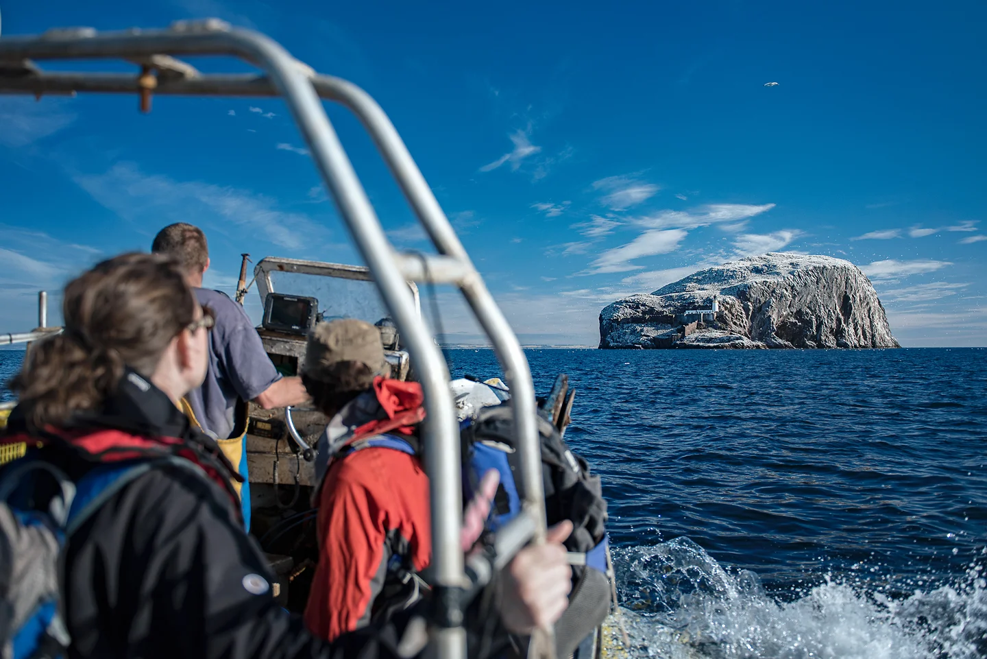A team of researchers led by Keith Hamer and James Grecian head out to Bass during breeding season. Adult gannets must regularly feed their young, making it the perfect time to study foraging behaviours