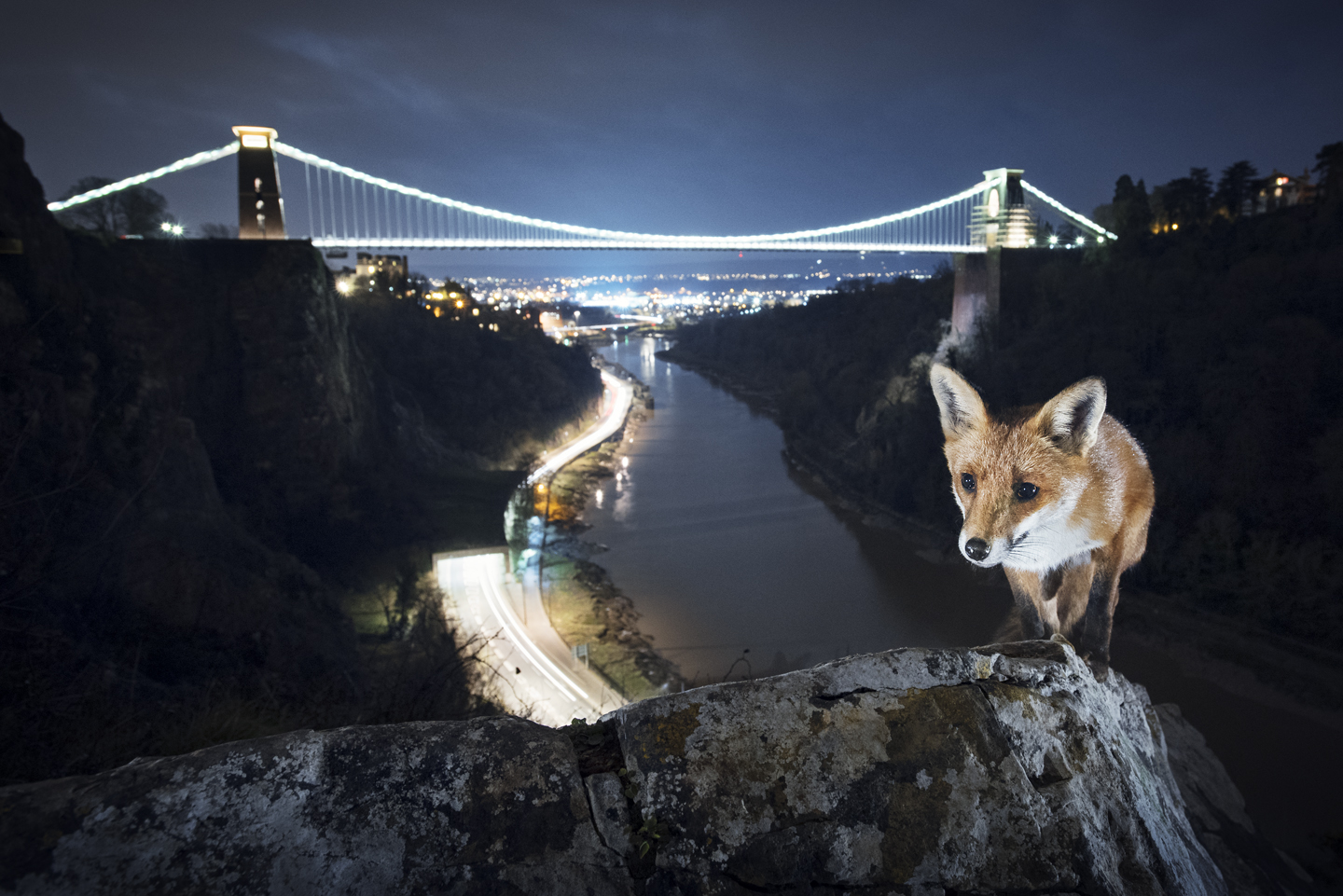 Under the Bridge