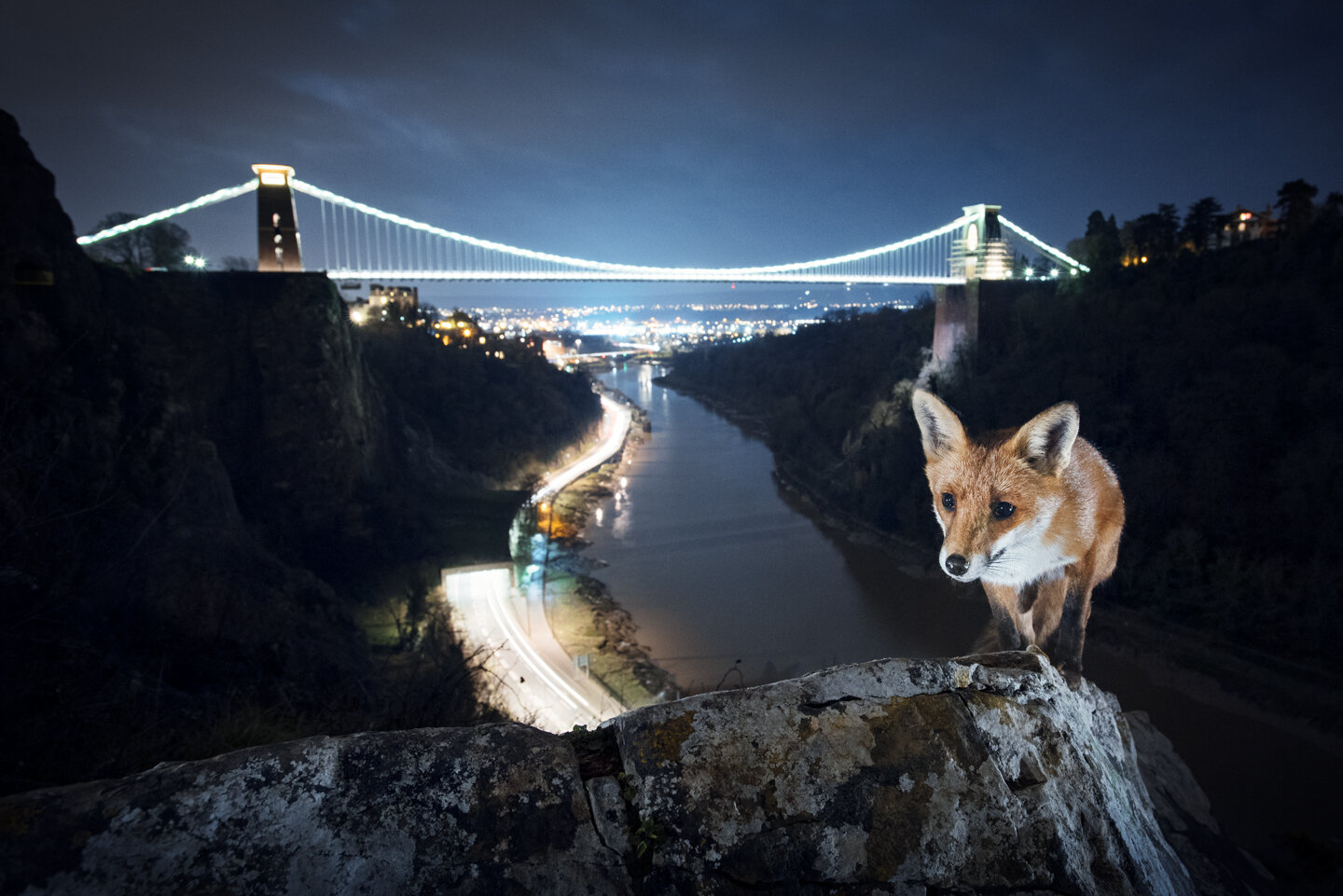  Some find safety on the outskirts of the city, bridging the gap between urban and rural 