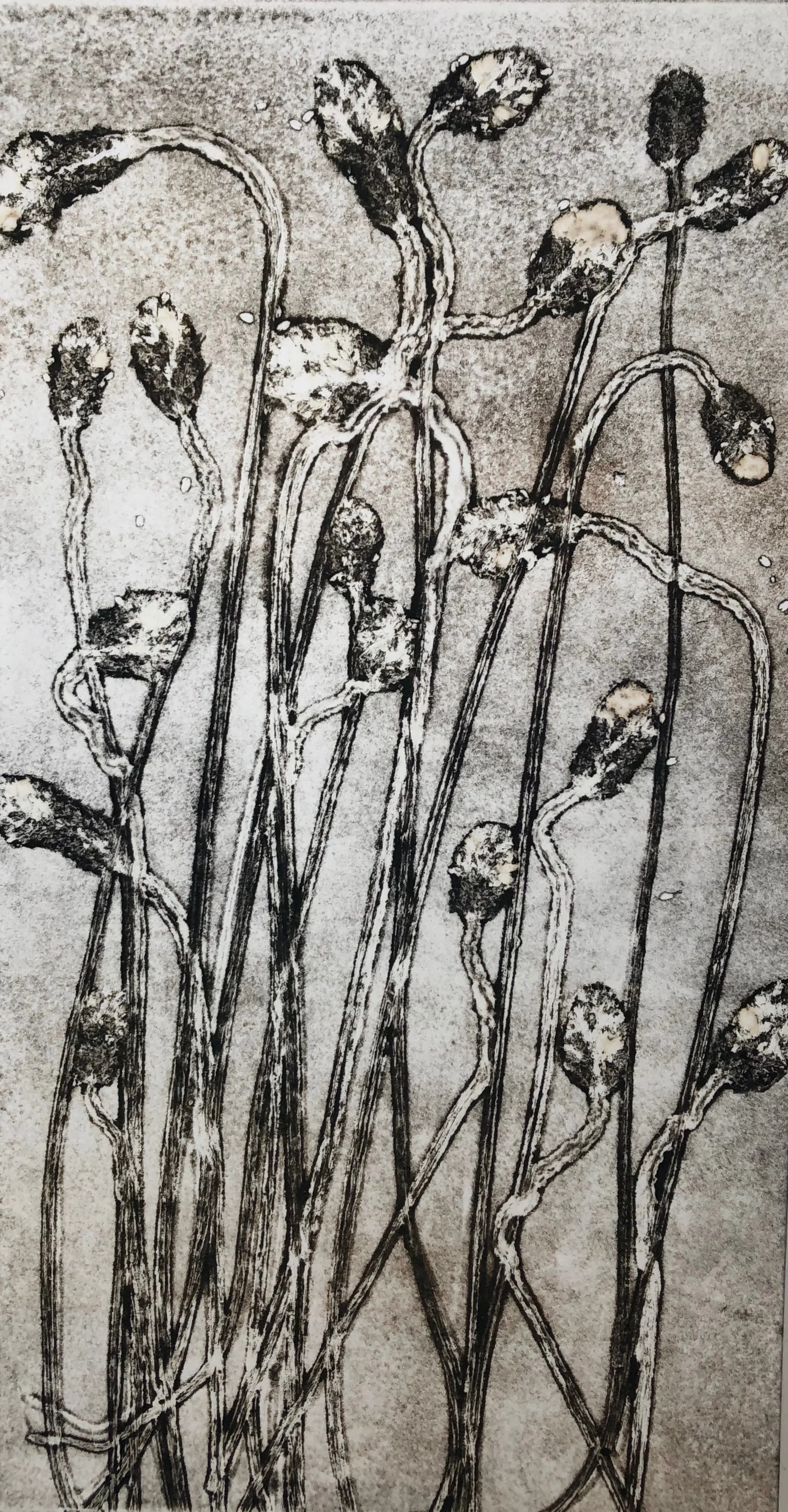 In all Directions.jpg