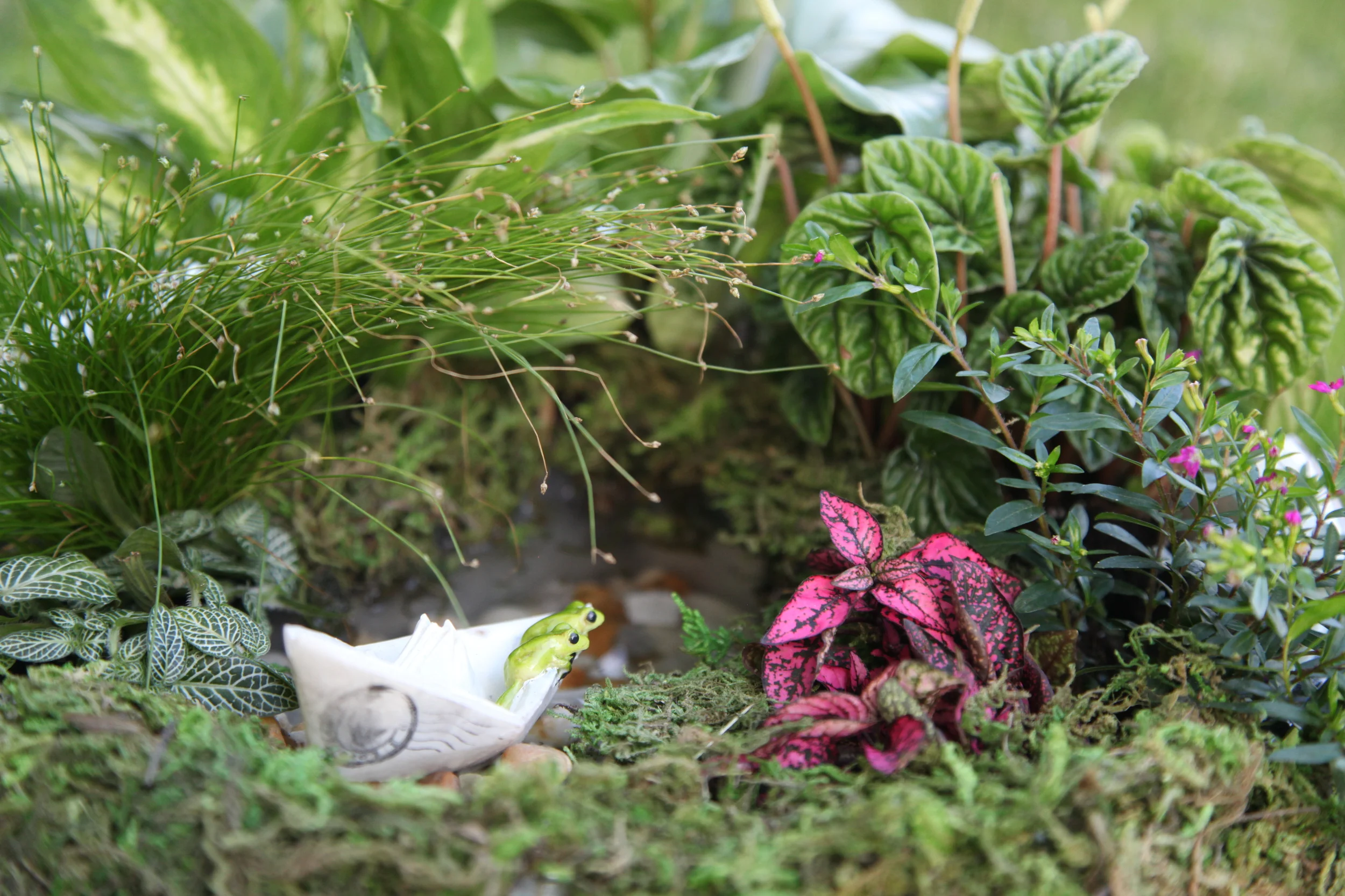 Fairy Gardening Workshop