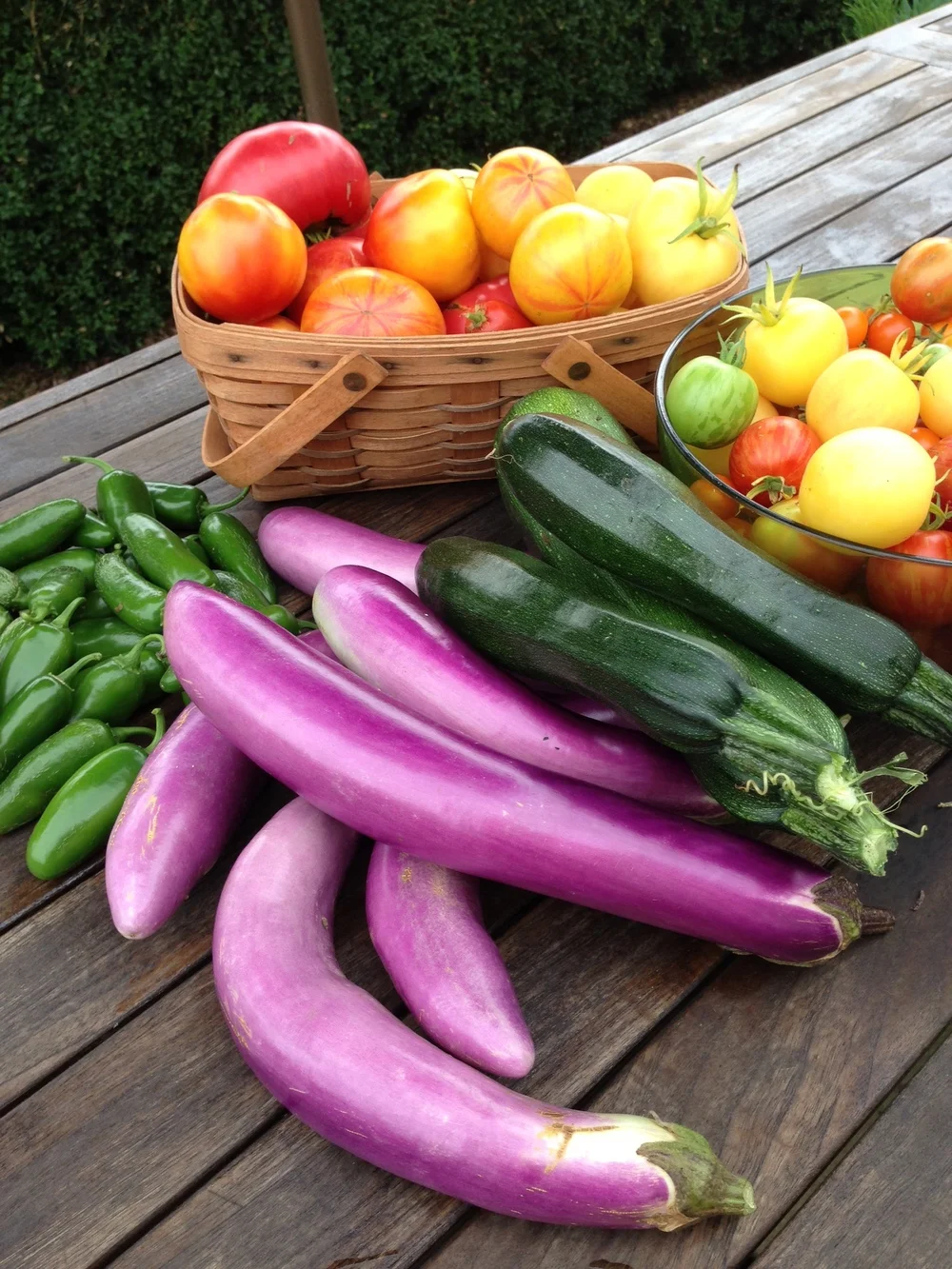 Year-Long Vegetable Planting Guide