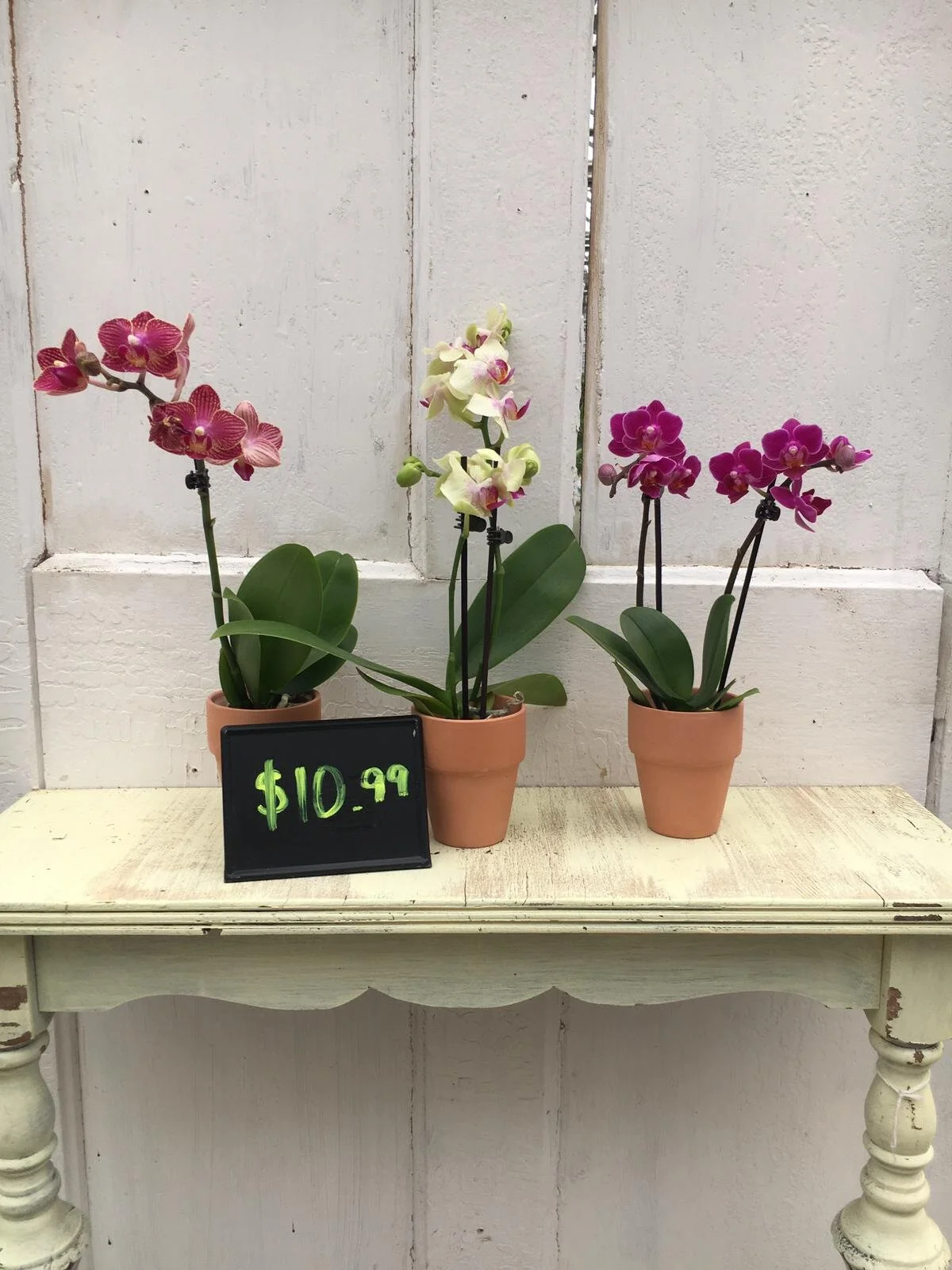 WhatsApp Image 2020-03-20 at 12.04.41 PM.jpeg