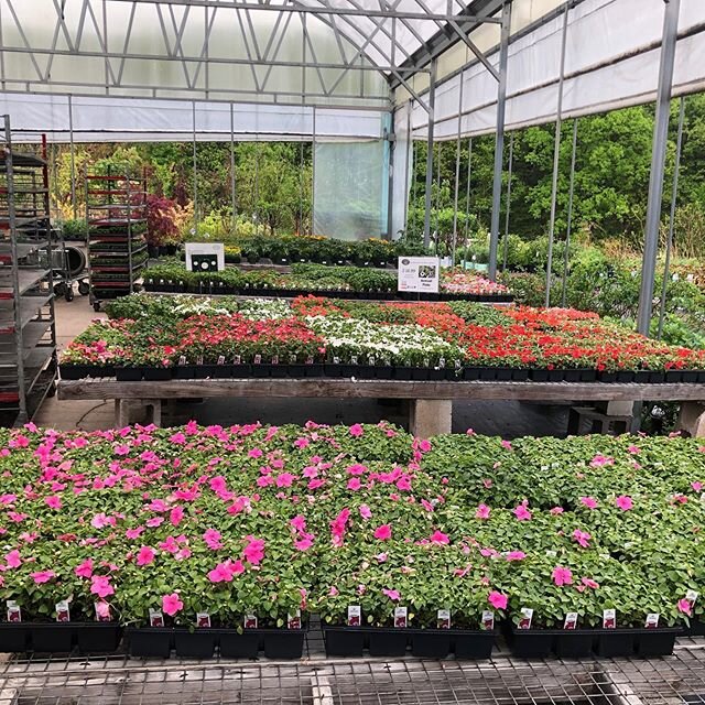 We&rsquo;ve restocked our annual bedding  plants and vegetables!