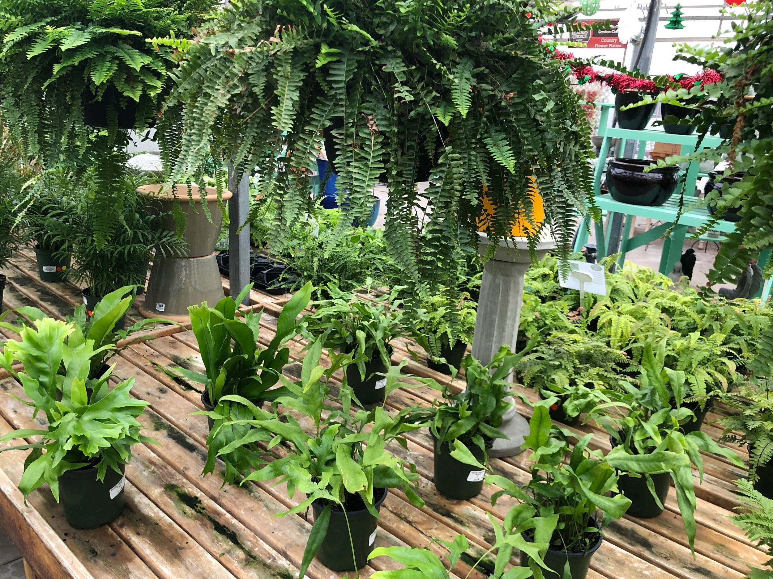 82529ACE-4F91-4449-9108-AC52F0FA523C