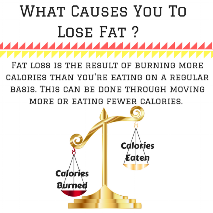 What Causes You To Lose Fat - (1).png