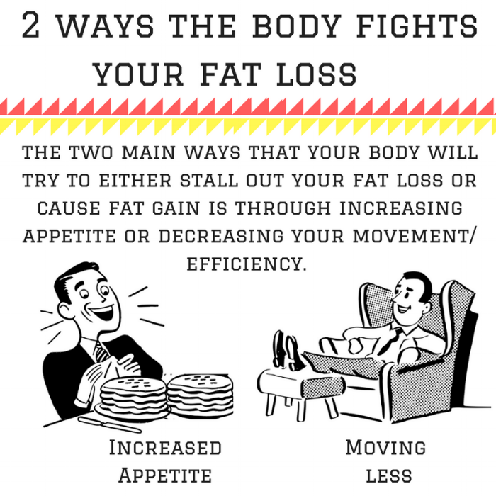 2 ways the body fights your fat loss (1).png