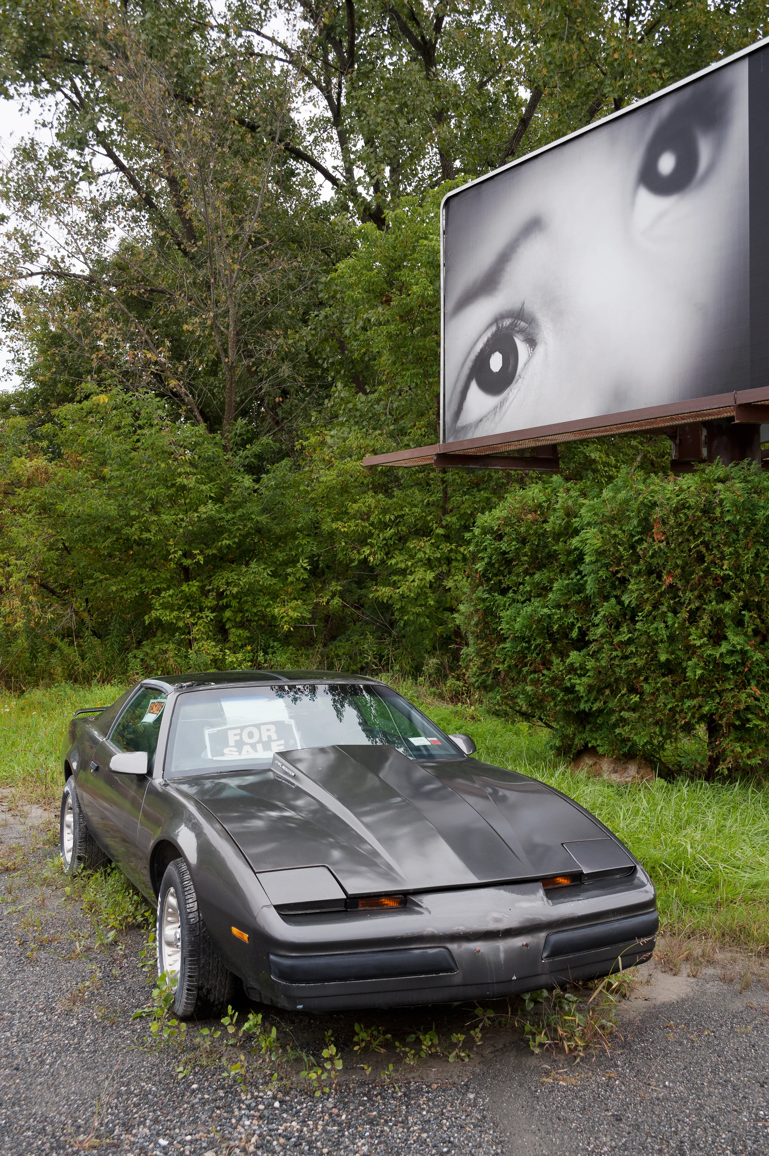 Child eyes and car.jpg