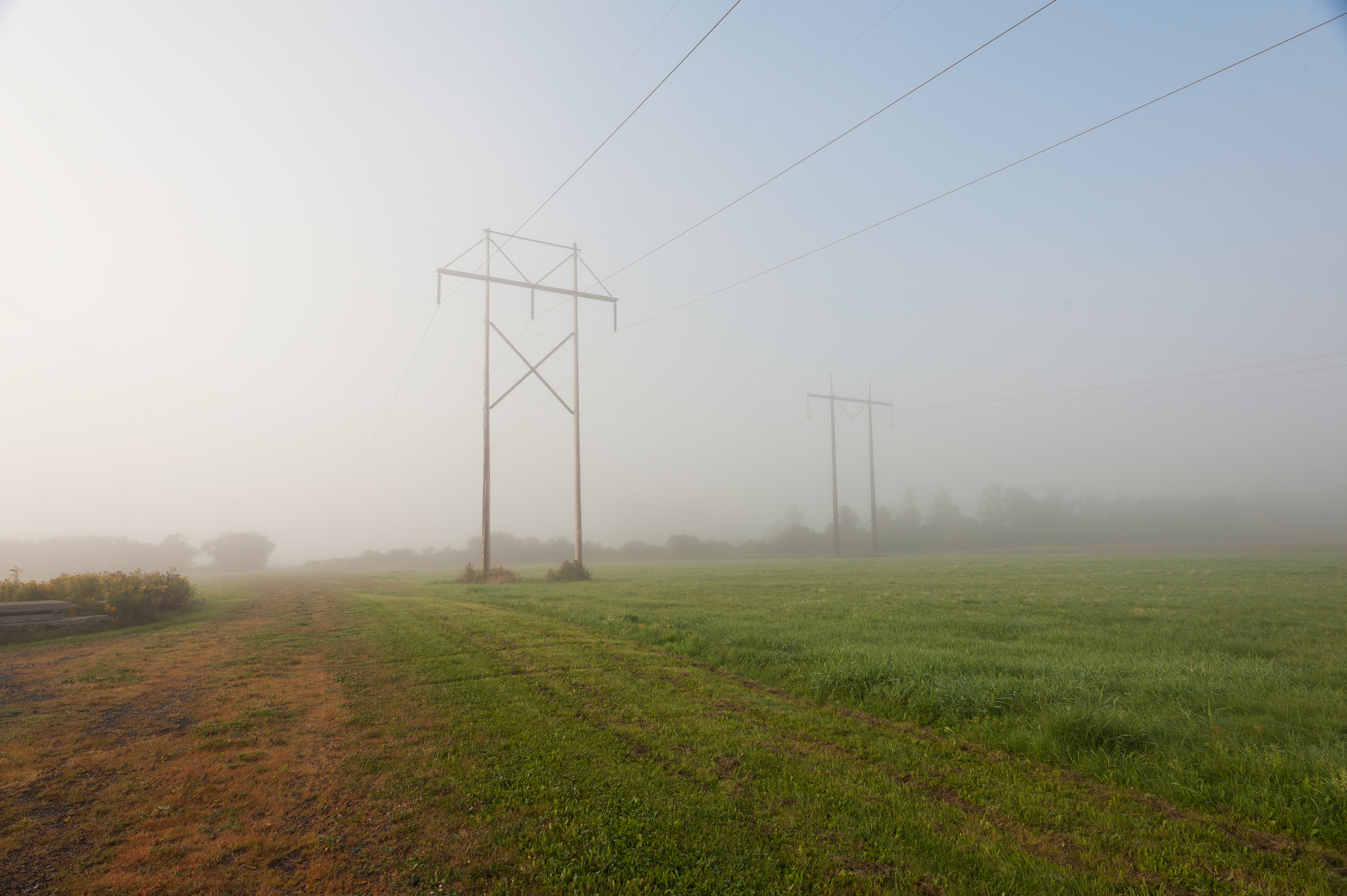 Electrical Fog.jpg