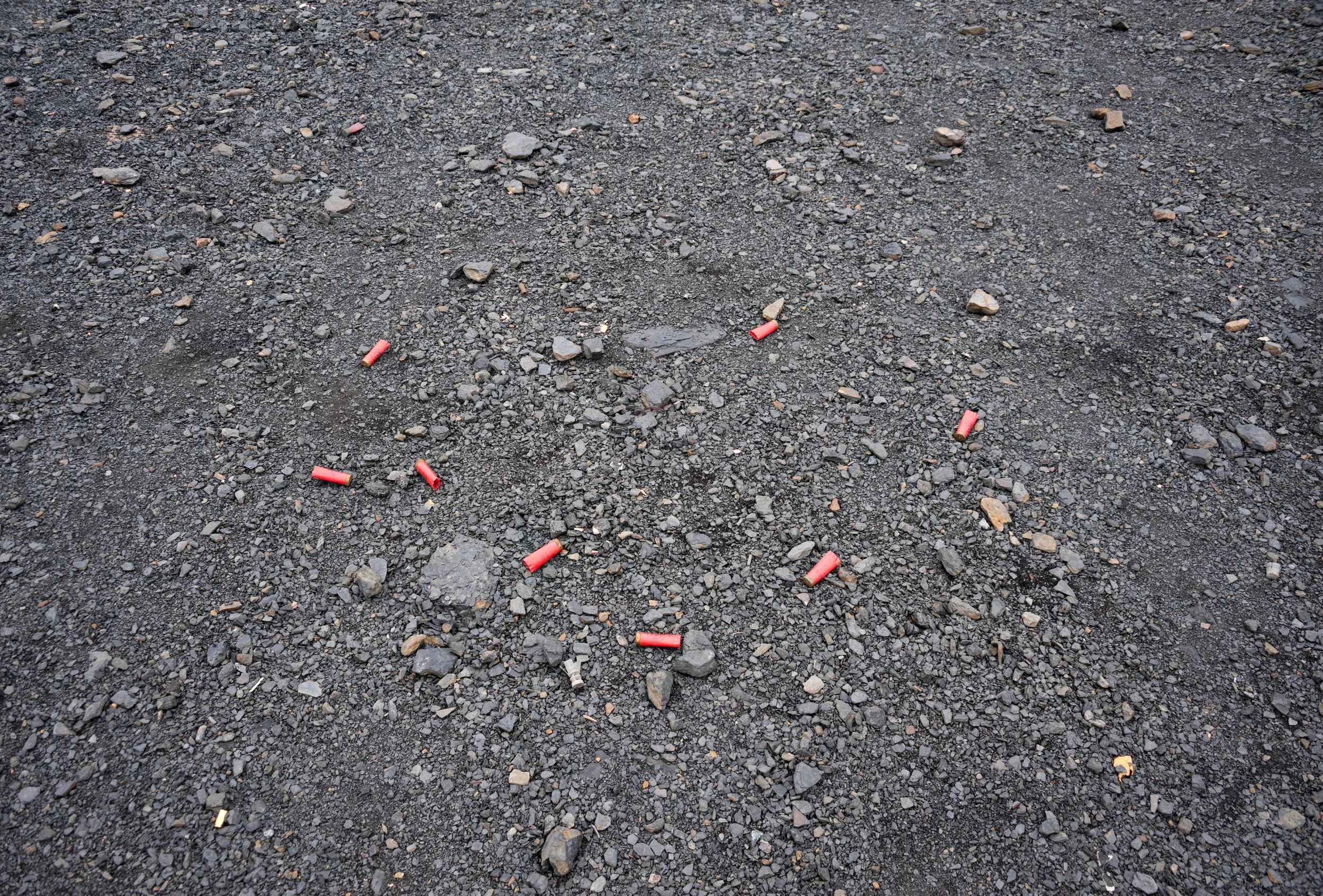 Shotgun Shells.jpg